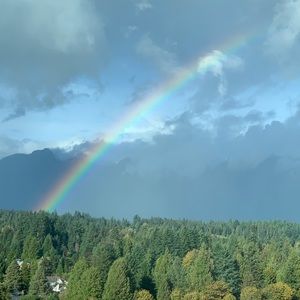 Meet your Posher, Afsoon